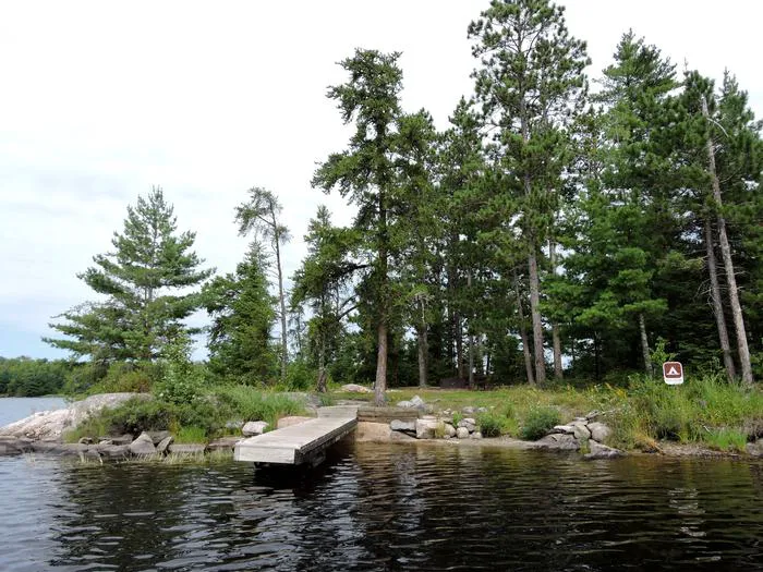 Wolf Island S19 Picture 4