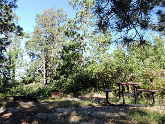 North Island West S13 Campsite Picture 4