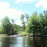 Steakhouse Point N42 Campsite
