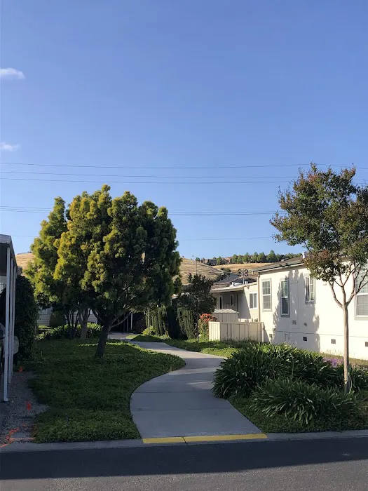 Mountain Shadows Mobile Home Park Picture 6