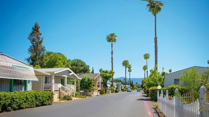 California Hawaiian Picture 2