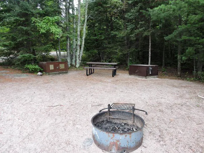 Pike Bay N31 Campsite Picture 7