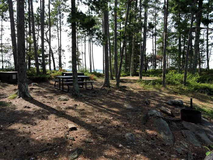 Pat Smith Island N30 Campsite Picture 3