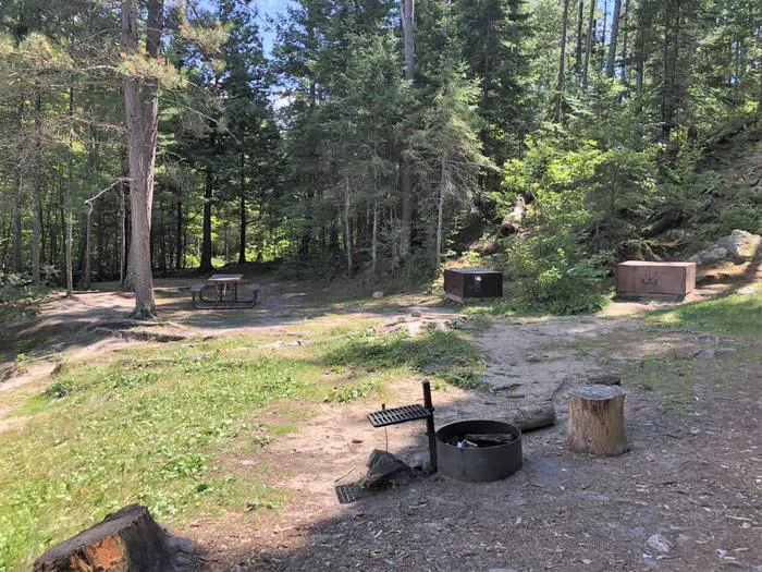 My Island West N25 Campsite Picture 4