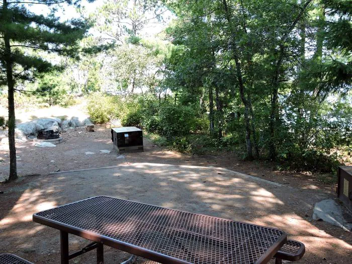 Depthfinder Island N7 Campsite Picture 1