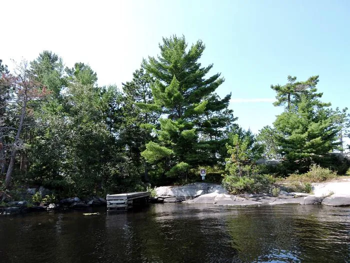 Depthfinder Island N7 Campsite Picture 5