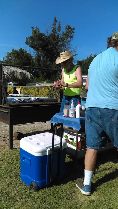 Orchard RV Park Picture 6