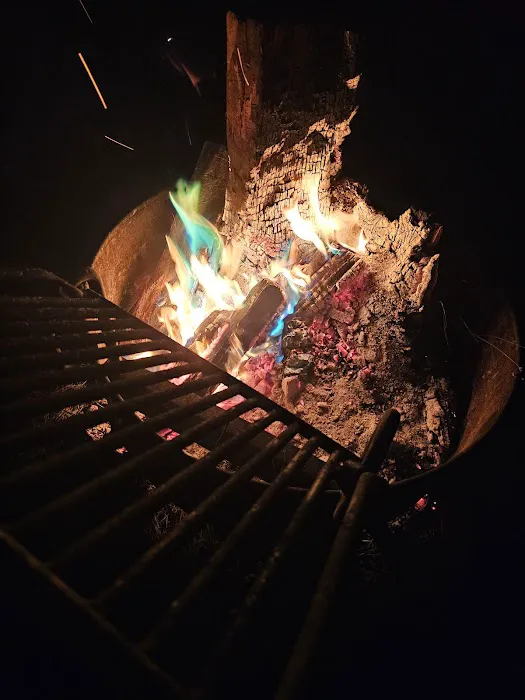 Catfish Alley Campground Picture 2