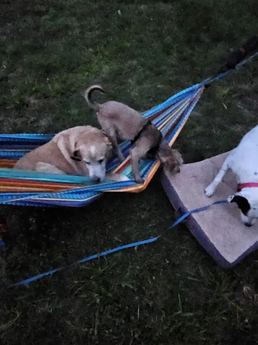 Catfish Alley Campground Picture 9