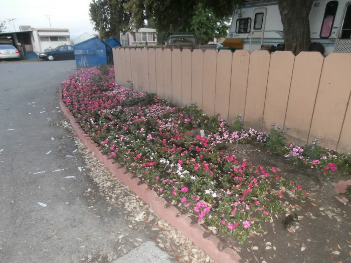 Charter Way Mobile Home Park Picture 1