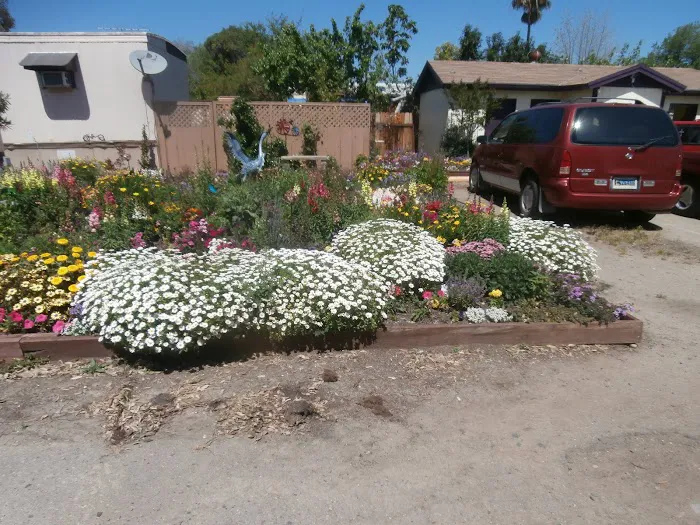 Charter Way Mobile Home Park Picture 2