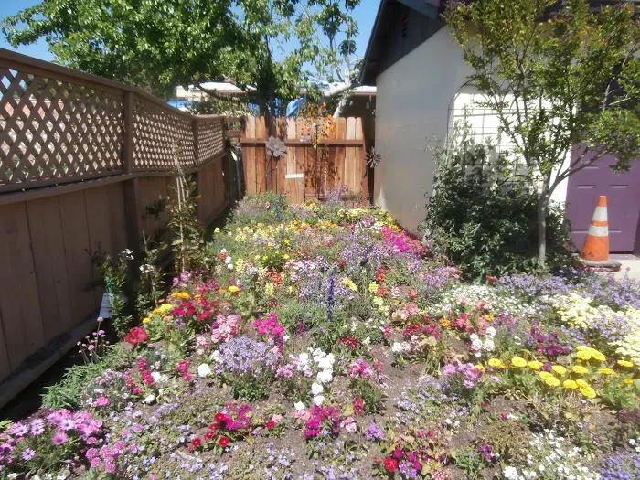 Charter Way Mobile Home Park Picture 7