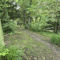 Gaea Retreat Center ico