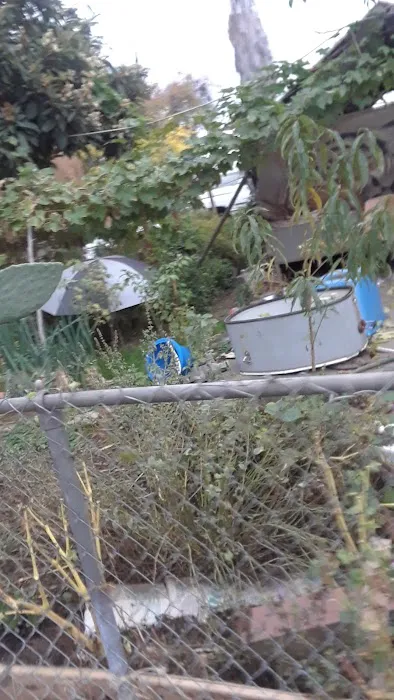 Bentley Trailer Park Picture 4