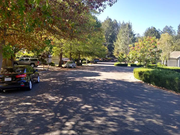 Santa Rosa Village Picture 8
