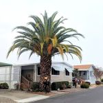 Country Mobile Home Park