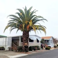 Country Mobile Home Park ico