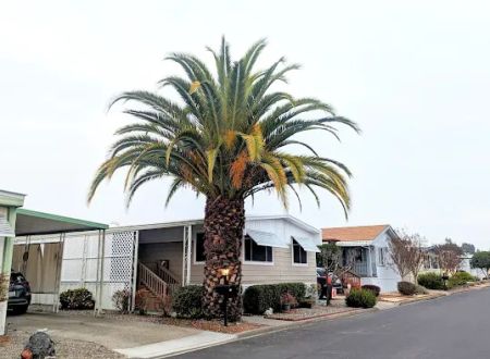 Country Mobile Home Park