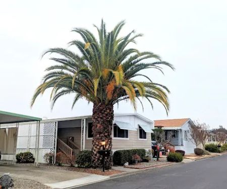 Country Mobile Home Park
