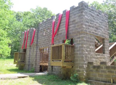 Cub World Castle