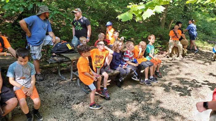 Cub World Campfire Arena Picture 10