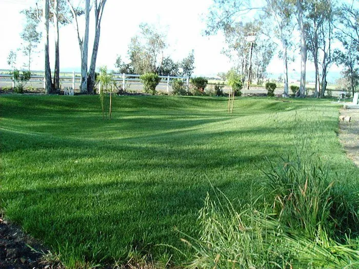Midway RV Park Picture 5