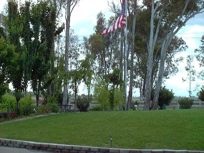 Midway RV Park Picture 8