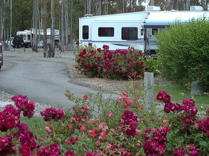 Midway RV Park Picture 9