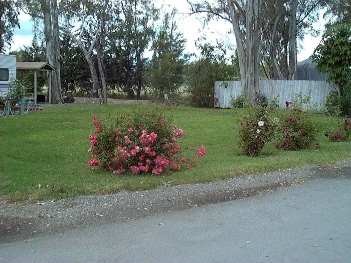 Midway RV Park Picture 10