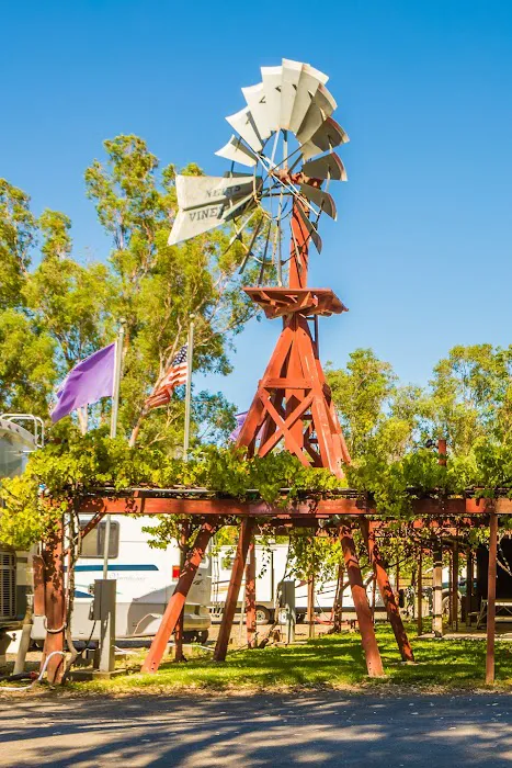 Vineyard RV Park Picture 5