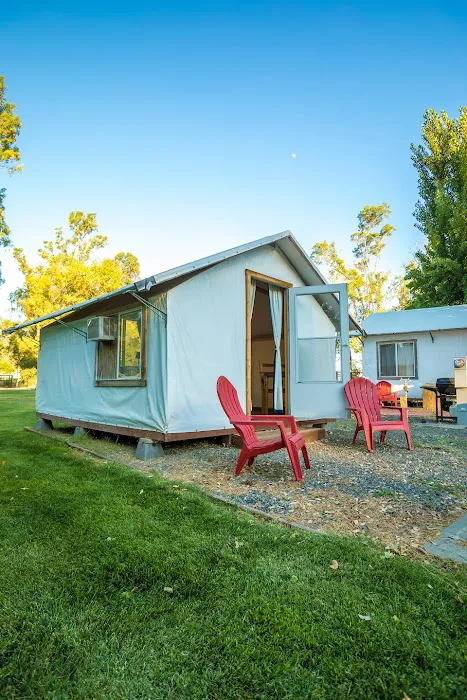 Vineyard RV Park Picture 7