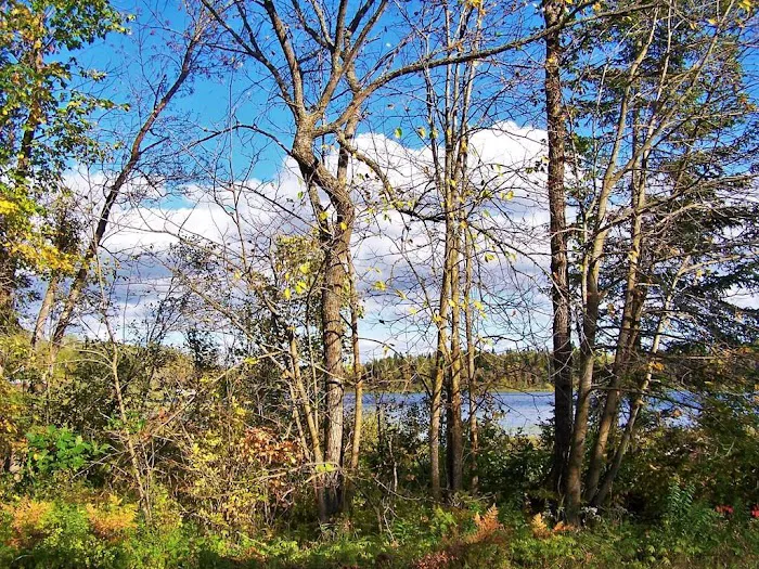 Big Elbow Lake Lodge and Campground LLP Picture 5