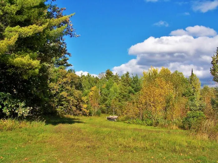 Big Elbow Lake Lodge and Campground LLP Picture 6