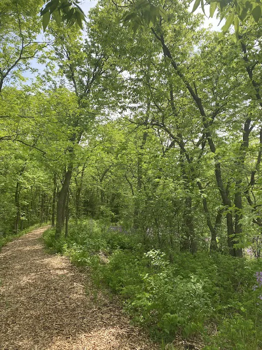 George H Clayton Campground Picture 8
