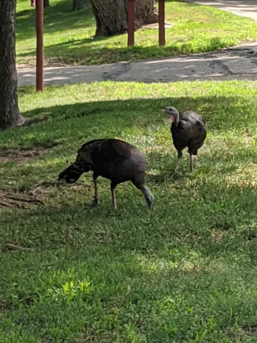 Hall County Park Picture 7