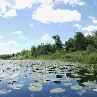 Little Elbow Lake Tribal Park/Campground ico