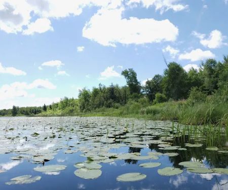 Little Elbow Lake Tribal Park/Campground