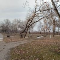 Buffalo River State Park Campground ico