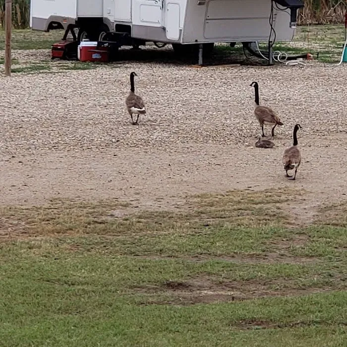 Bigfoot Campground & RV Park Picture 10