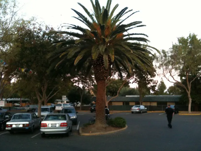 Slatter's Court Picture 8