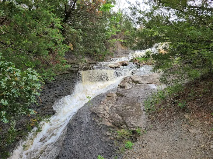 Neosho State Lake Picture 1