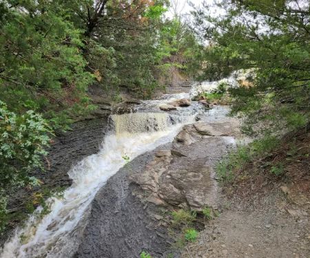 Neosho State Lake