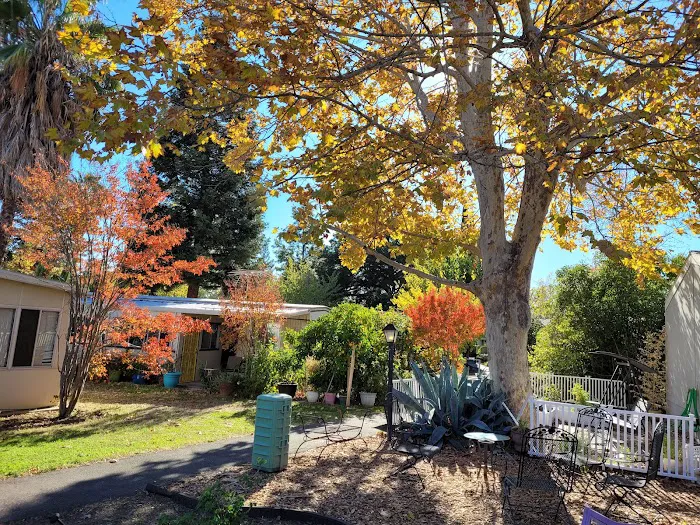 Rancho Yolo Mobile Home Park Picture 8