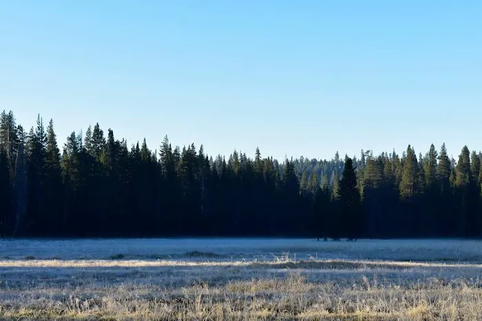 Horse Camp Campground Picture 1