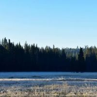 Horse Camp Campground ico