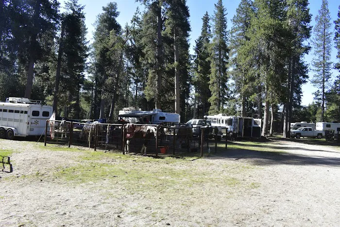 Horse Camp Campground Picture 4