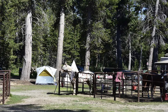 Horse Camp Campground Picture 7