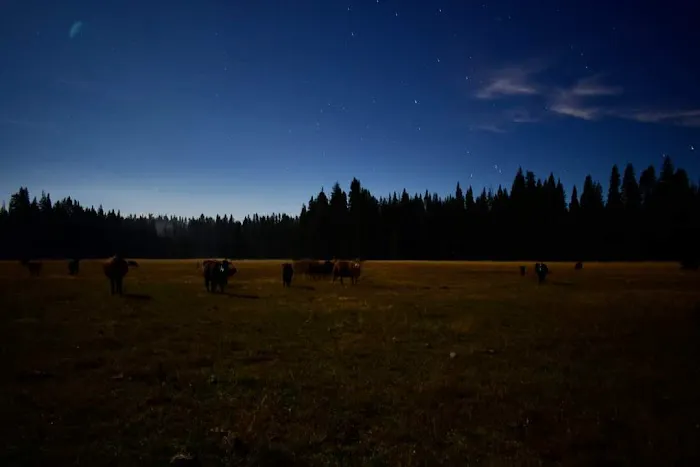 Horse Camp Campground Picture 10