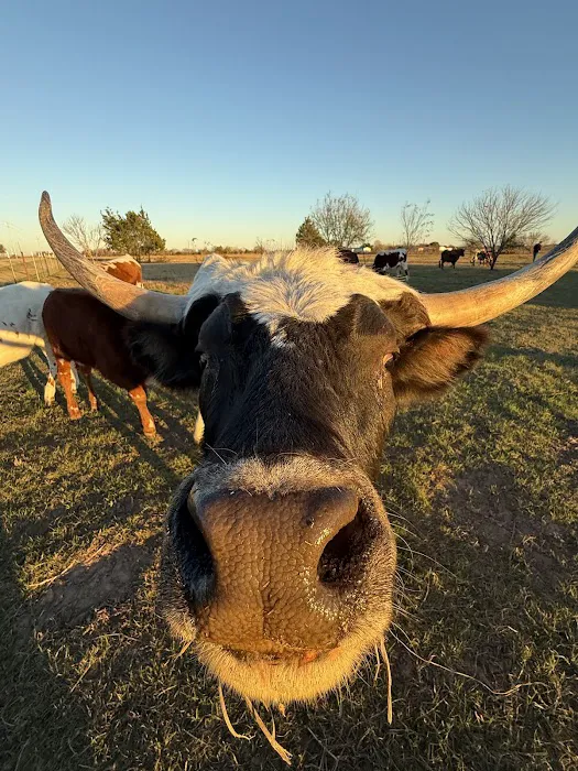 Lazy J RV Ranch Picture 6