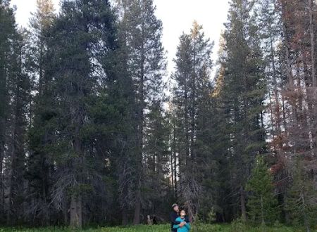 Eastern Big Meadow Road Camping Area